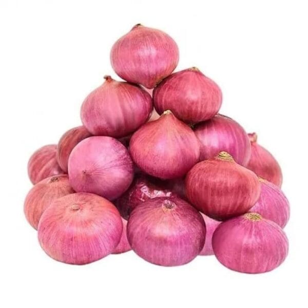 ONION KG