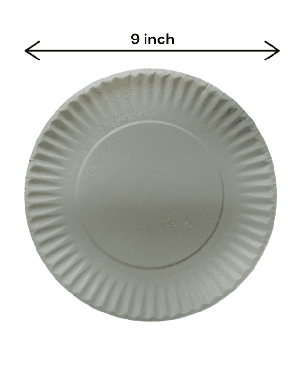 DISPOSABLE PAPER PLATES 9"